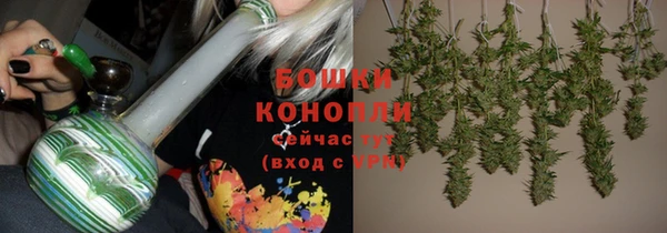 прущие крисы Надым