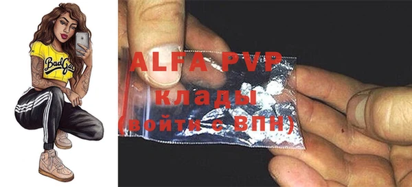 прущие крисы Надым