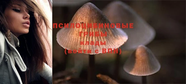 СК Наволоки