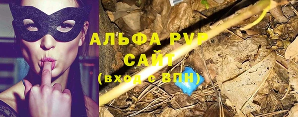 прущие крисы Надым