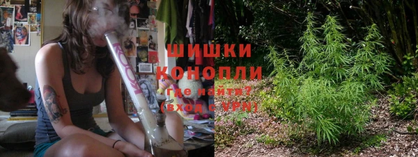 прущие крисы Надым