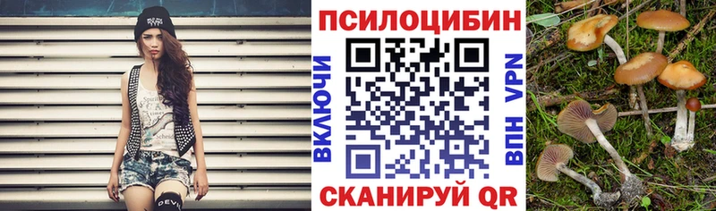 Псилоцибиновые грибы Psilocybine cubensis  Разумное 